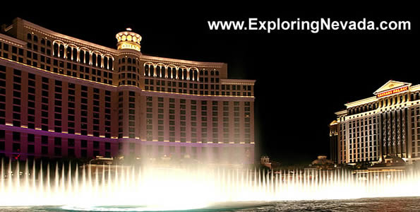 The Bellagio Hotel & Casino in Las Vegas : Photo #9