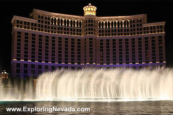 The Bellagio Hotel & Casino in Las Vegas : Photo #16