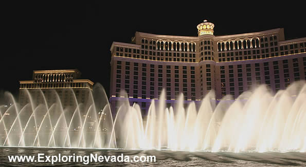 The Bellagio Hotel & Casino in Las Vegas : Photo #21