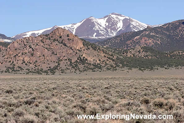 Foothills and the Snowy Peaks of the Toquima Range