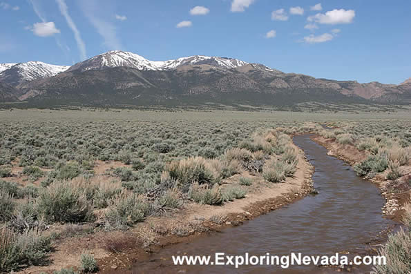 Seasonal Stream in the Monitor Valley of Nevada