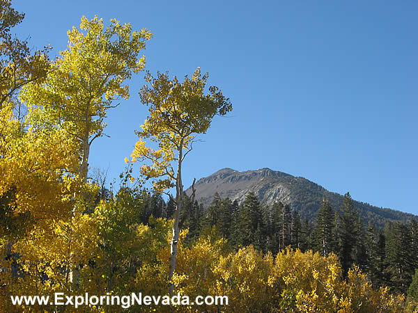 Autumn Colors on the Mt. Rose Scenic Drive