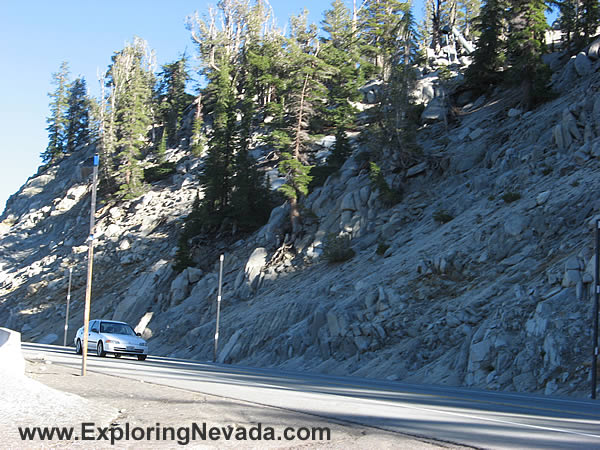 Huge Snow Stakes on the Mt. Rose Scenic Drive