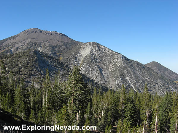 Mt. Rose Seen From the Scenic Drive