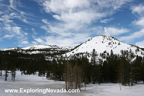 View from Mt. Rose Summit