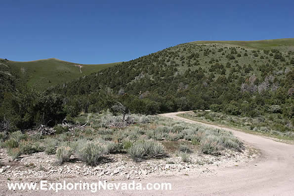 Mountains of the Wilson Creek Range