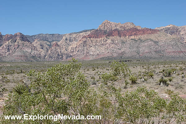 Red Rock Canyon, Photo #1