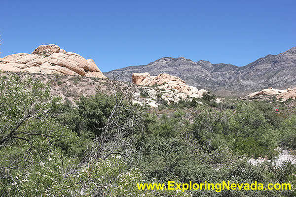Red Rock Canyon, Photo #10
