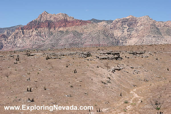 Red Rock Canyon, Photo #6