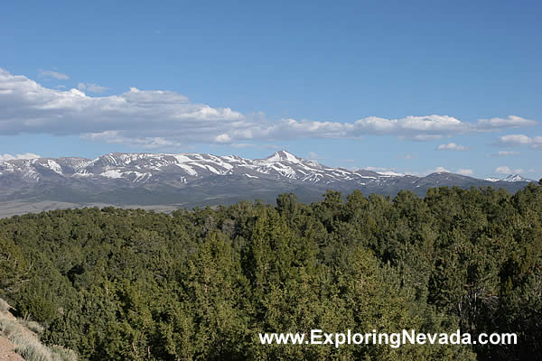 The Toiyabe Mountains Seen From Ione Summit