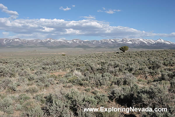 The Sprawling Reese River Valley