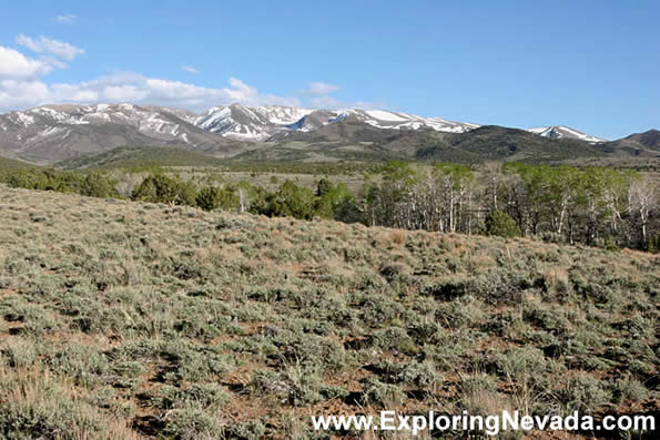 The Toiyabe Mountains & Reese River Valley