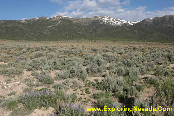 Desert and Ruby Mountains