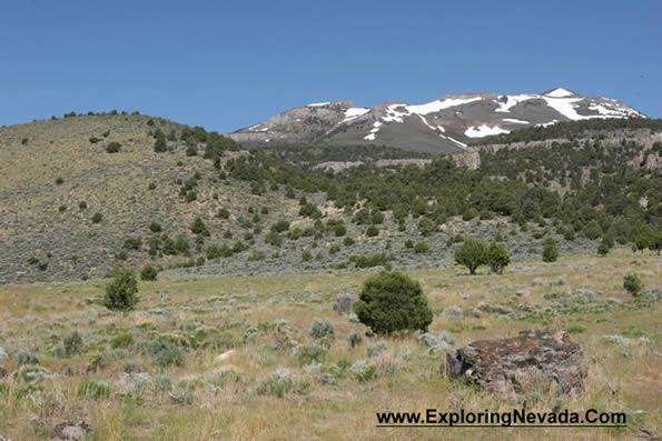 Foothills and the Ruby Mountains