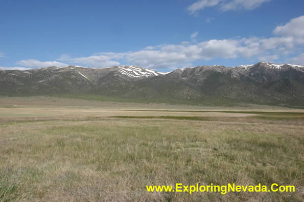 Grasslands in the Ruby Valley