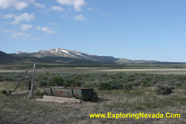 Livestock and Wildlife Water Container