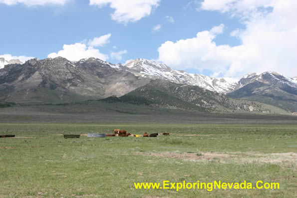 Northern Ruby Valley & The Ruby Mountains