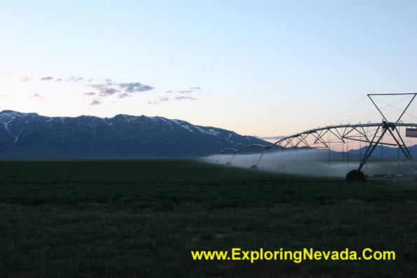 Irrigation in the Northern Ruby Valley at Dusk