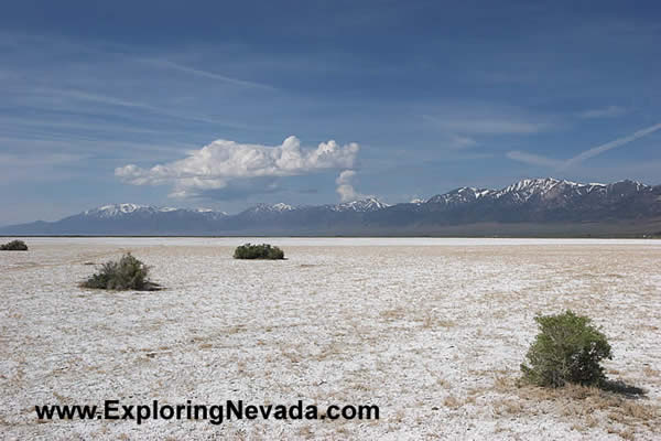 The Big Smoky Valley Wash