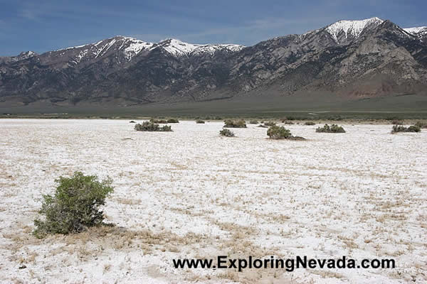 Toiyabe Mountains and the Big Smoky Valley Wash