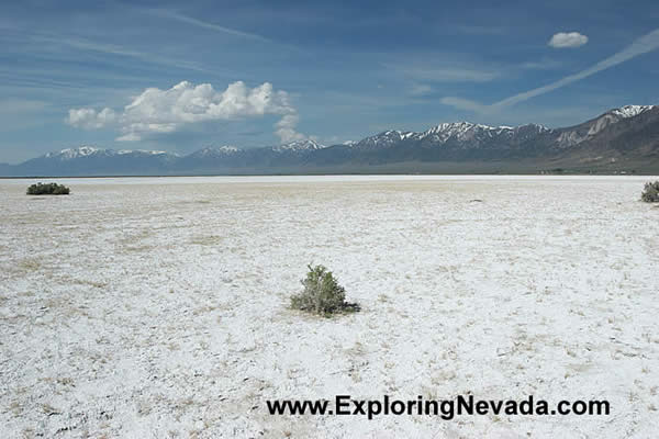 White Vastness of the Big Smoky Valley Wash