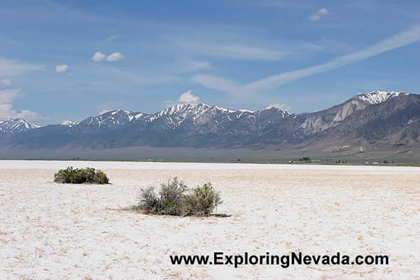 The Big Smoky Valley Wash & Toiyabe Mountains