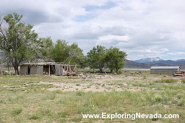 Abandoned Homestead in the Spring Valley