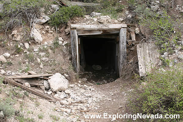 Monarch Mine, Photo #5