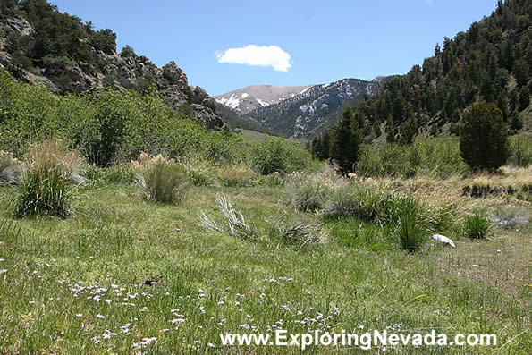 Side Canyon Off the Success Loop Drive