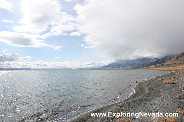 Walker Lake in Nevada : Photo #2