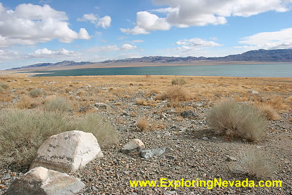 Walker Lake in Nevada : Photo #6