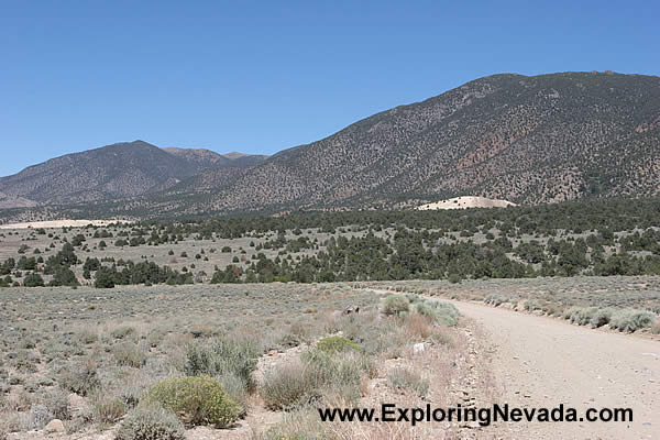 Forested Mountains of the Wassuk Range