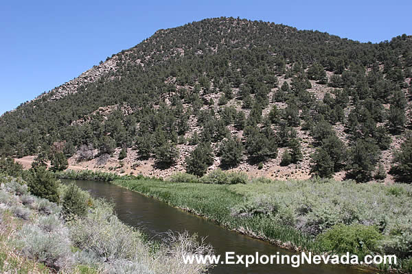 The East Walker River in Nevada, Photo #2