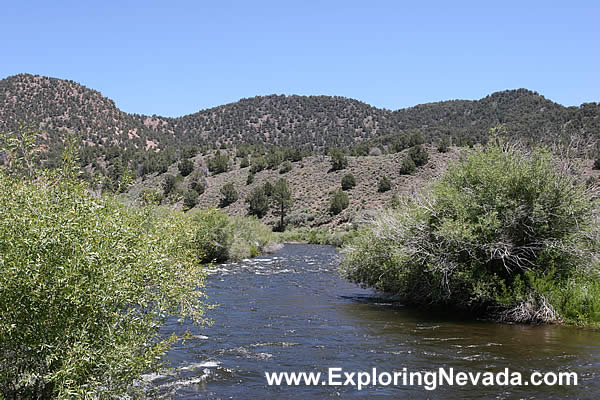 The East Walker River in Nevada, Photo #3